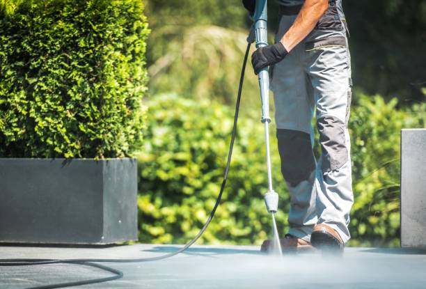 Best Gutter Cleaning and Brightening in Stamford, TX